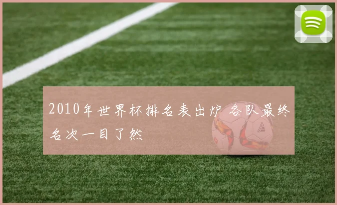 2010年世界杯排名表出炉 各队最终名次一目了然