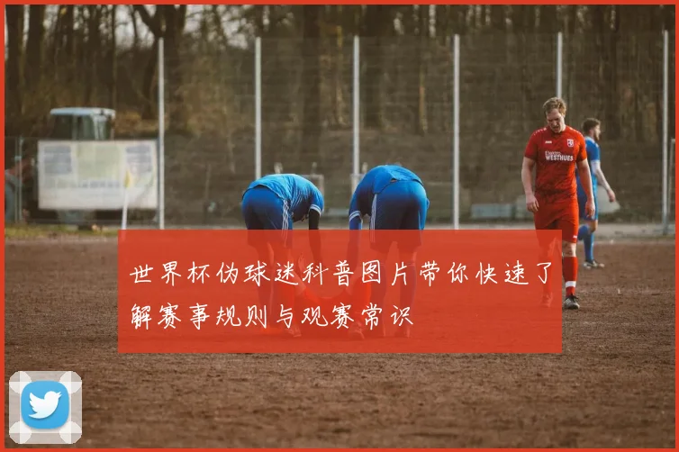 世界杯伪球迷科普图片带你快速了解赛事规则与观赛常识